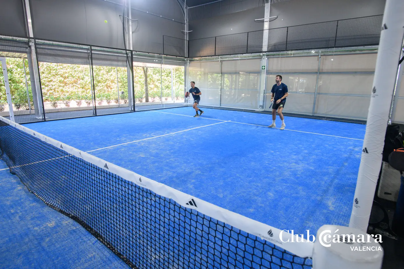 Campeonato Padel 245 MA