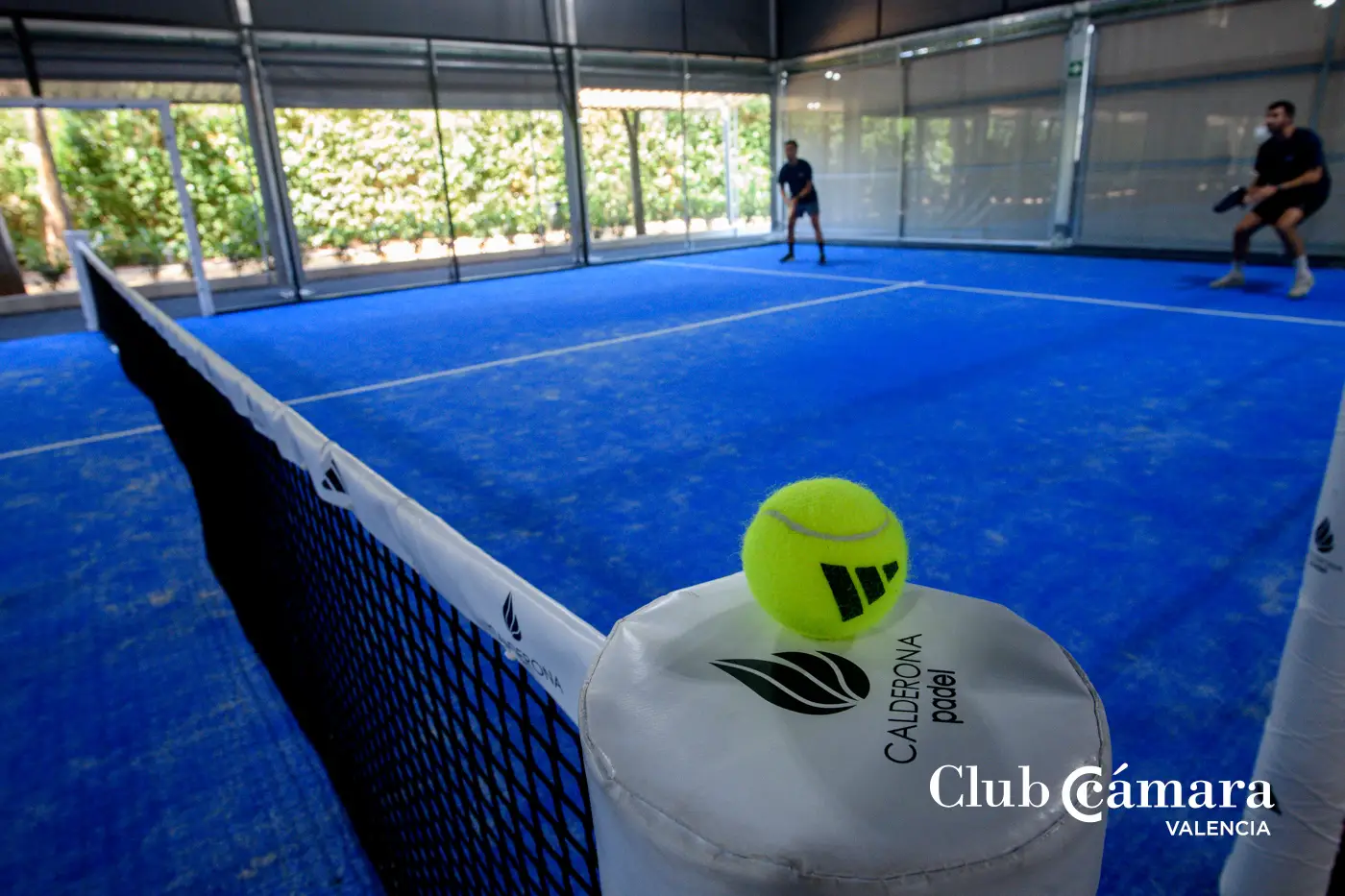 Campeonato Padel 247 MA