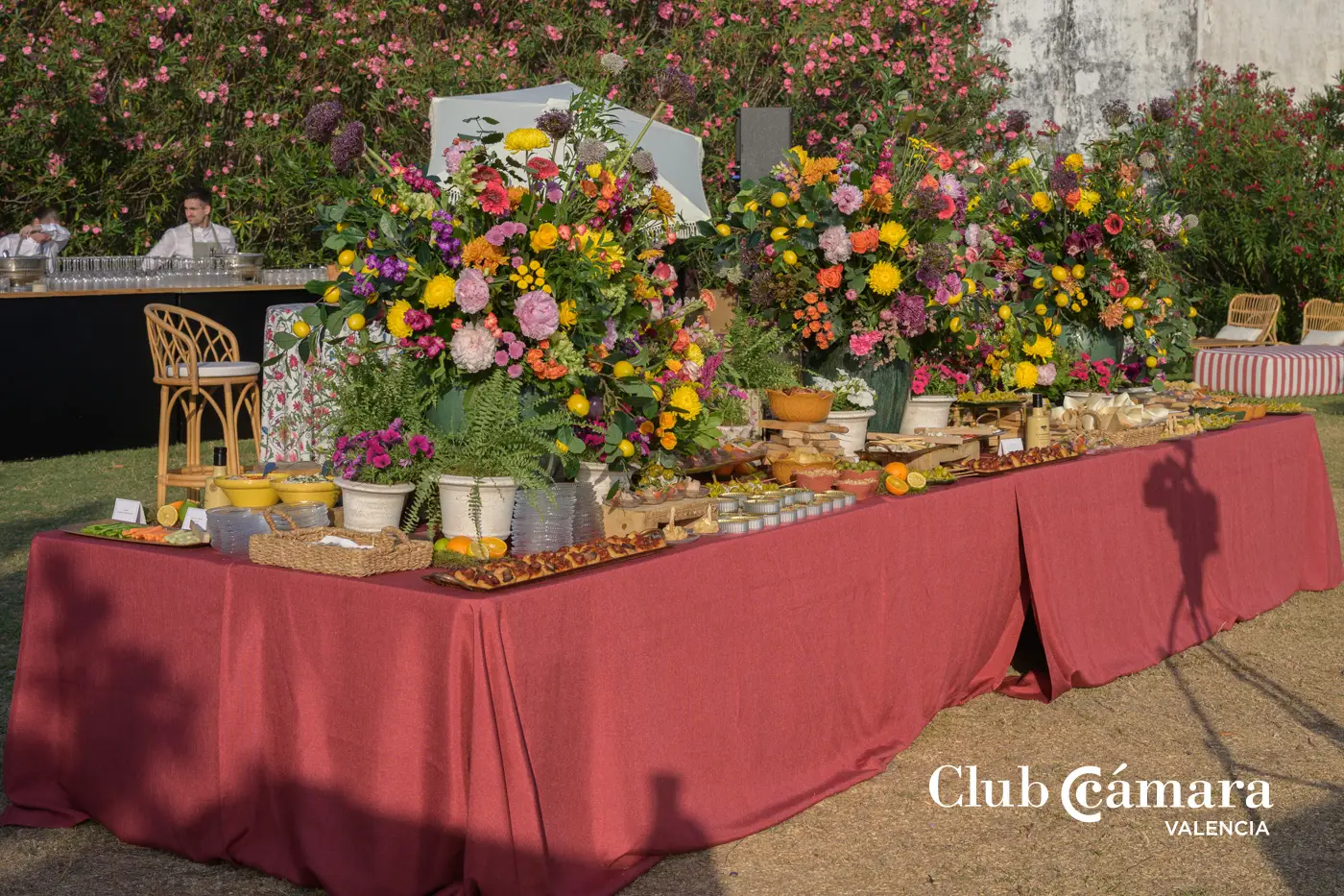 Fiesta Verano Club Camara 120 MA
