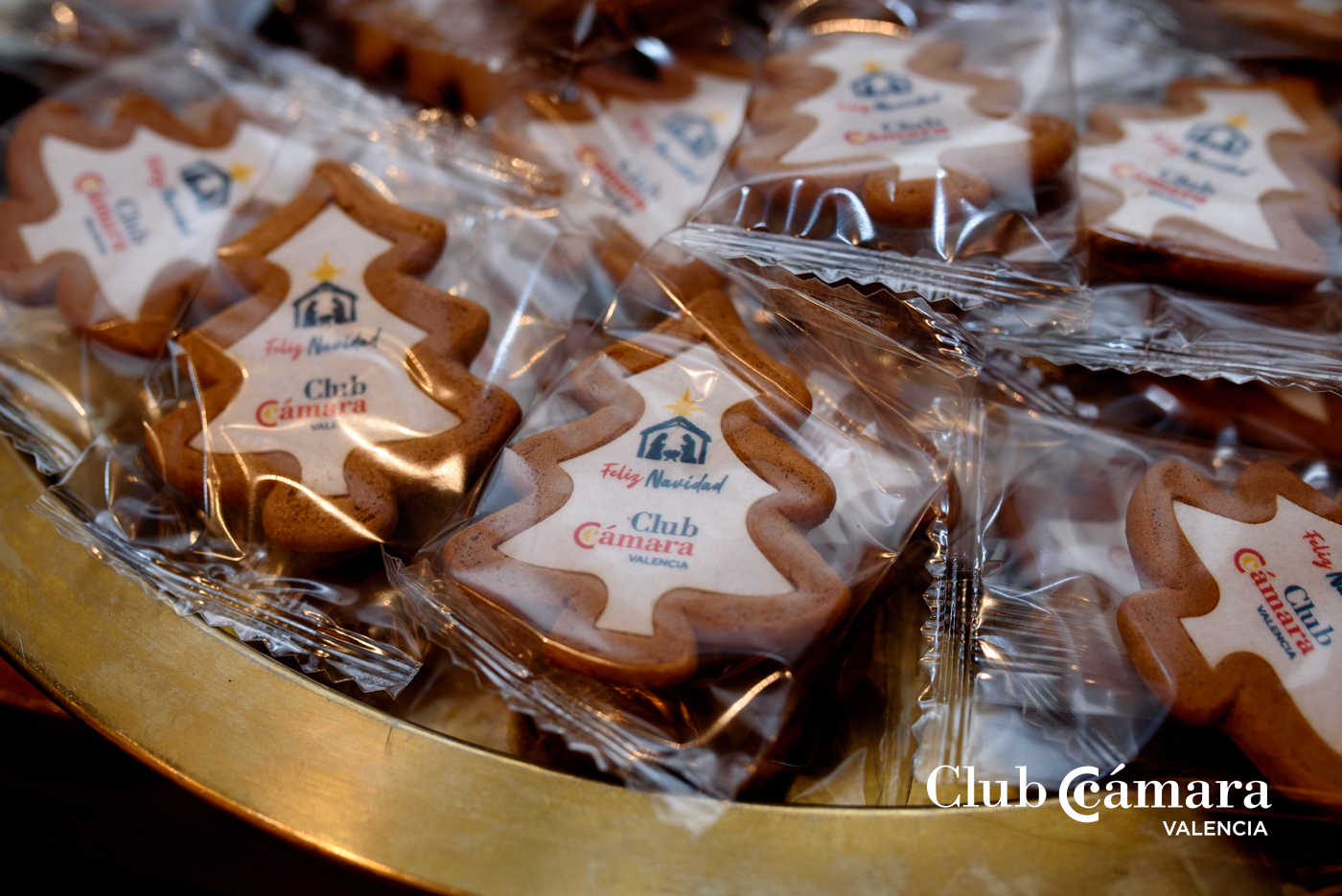 Fiesta Navidad Club Camara 098 MA