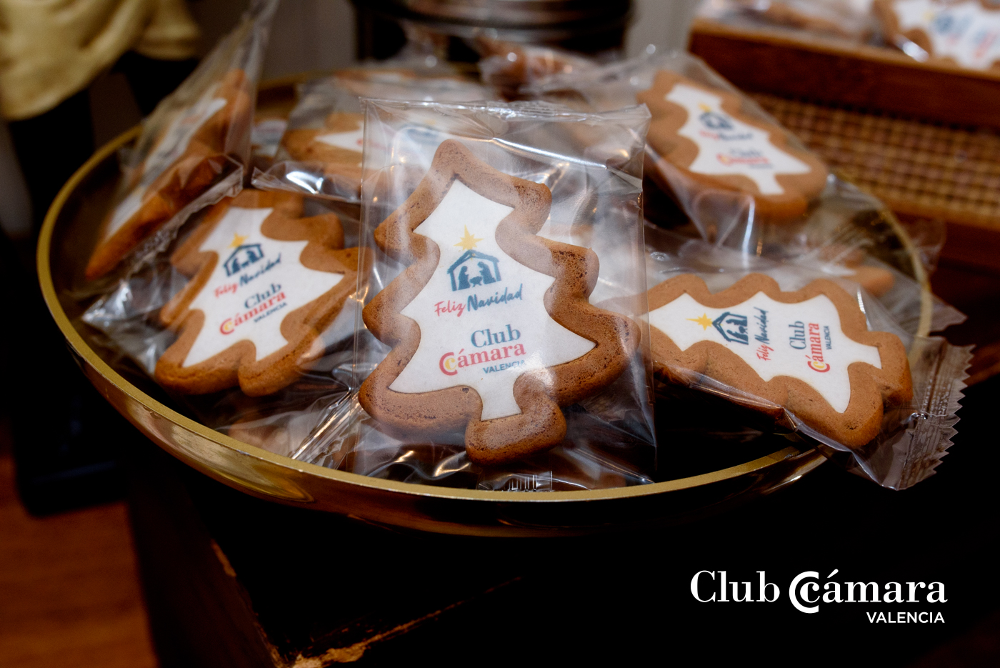 Fiesta Navidad Club Camara 101 MA