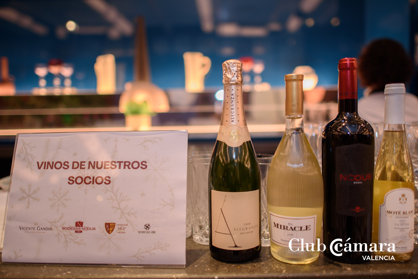 Fiesta Navidad Club Camara 110 MA