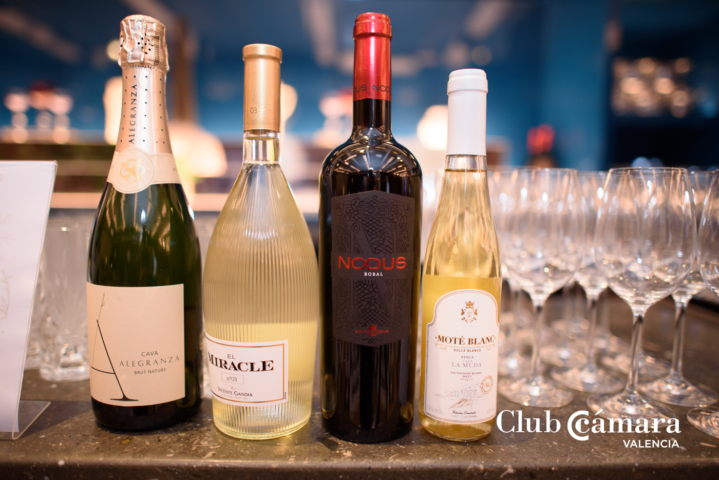 Fiesta Navidad Club Camara 111 MA