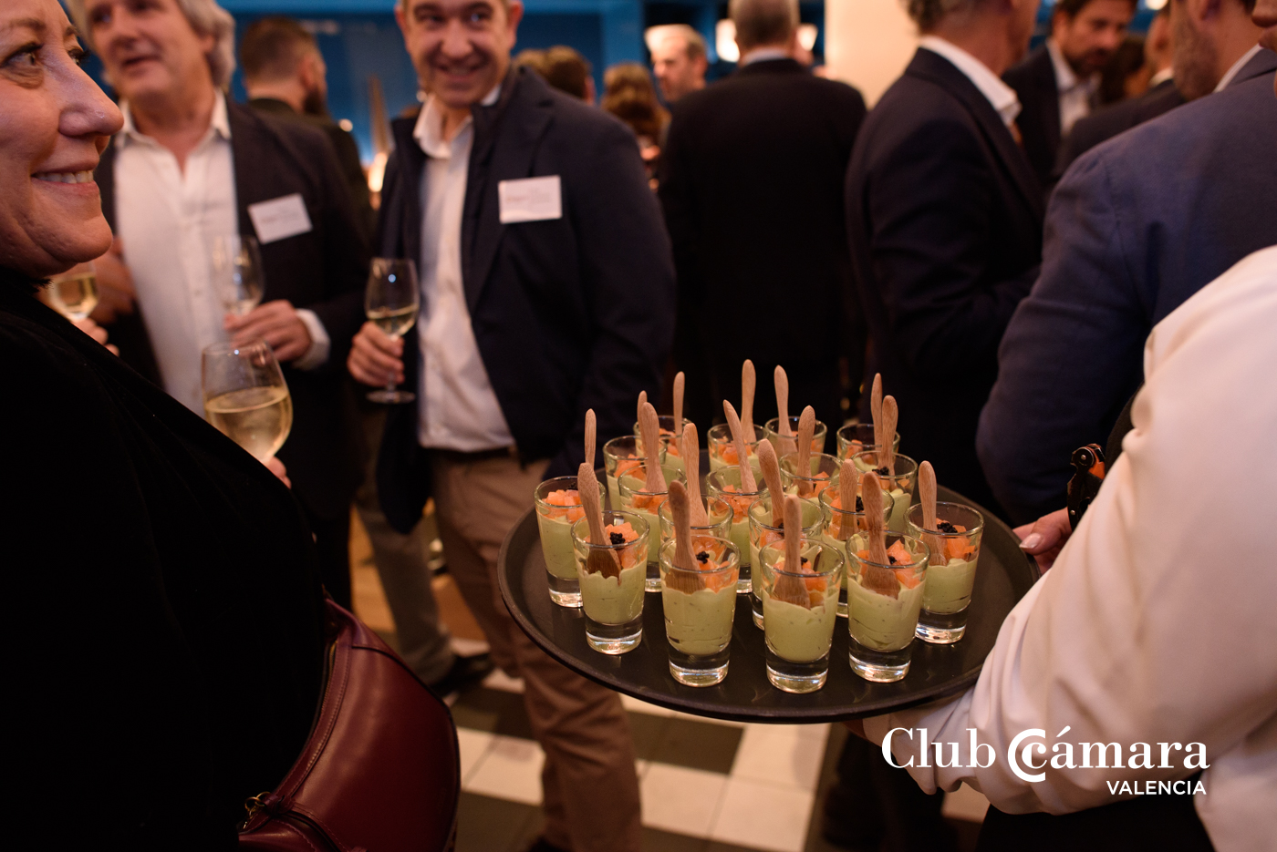 Fiesta Navidad Club Camara 171 MA