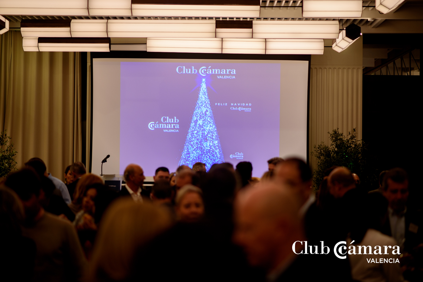 Fiesta Navidad Club Camara 191 MA