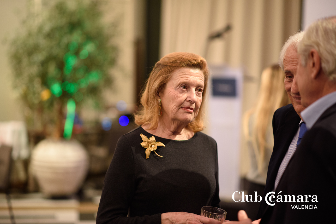 Fiesta Navidad Club Camara 194 MA