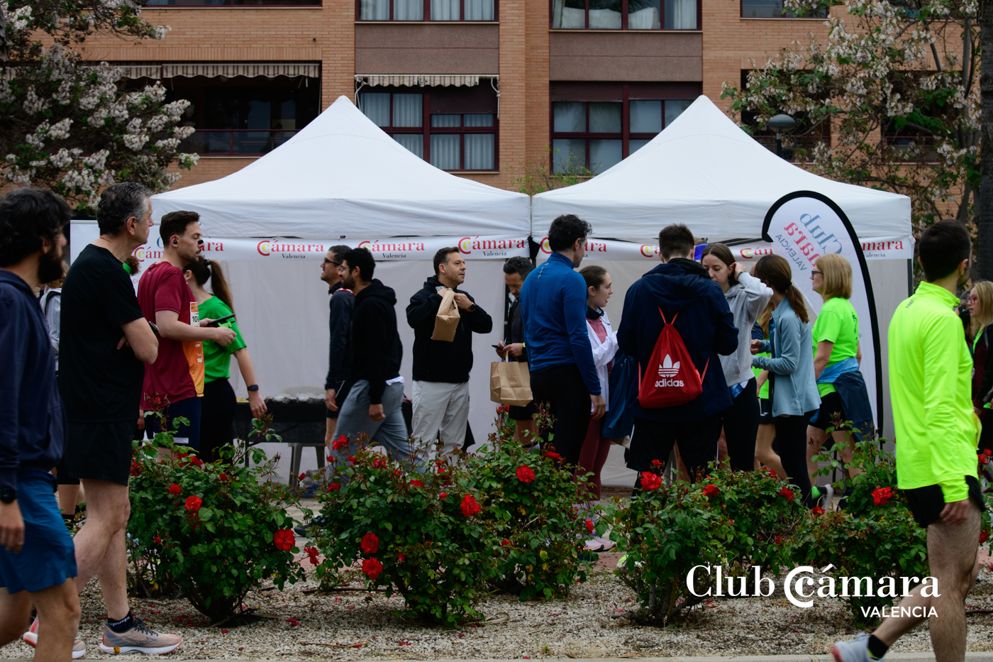 Carrera Empresas2026 05 MA